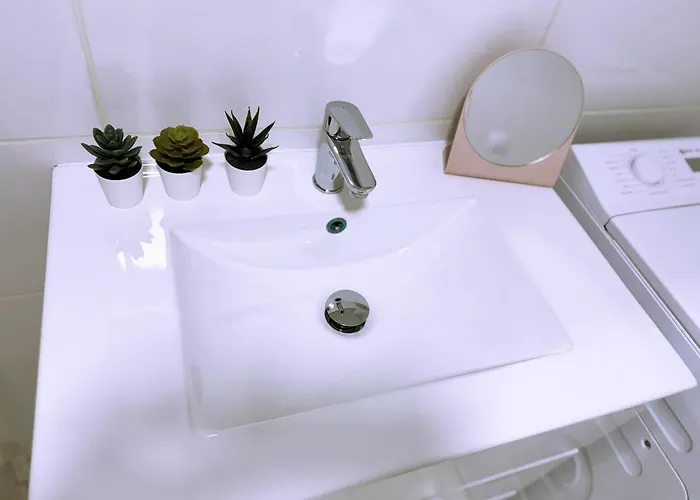 Tropical Terraza A La Piscina * 普拉亚戴尔雷安格莱斯